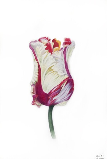 Malerei mit dem Titel "Magic tulip" von Tetiana Kovalova, Original-Kunstwerk, Aquarell