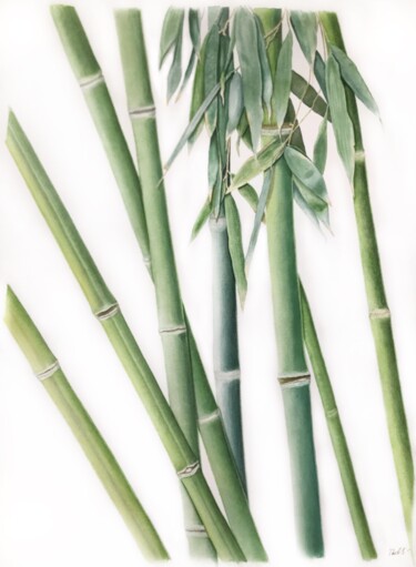 Pittura intitolato "Calming bamboo" da Tetiana Kovalova, Opera d'arte originale, Acquarello