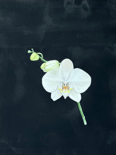 Pintura titulada "Wonderful orchid" por Tetiana Kovalova, Obra de arte original, Acuarela