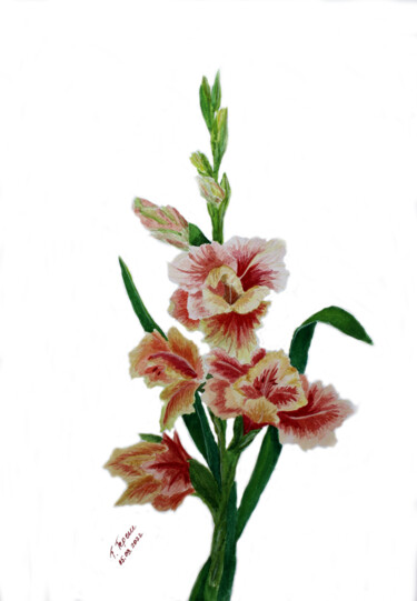 Картина под названием ""Gladiolus"" - Tetiana Teresh, Подлинное произведение искусства, Акварель