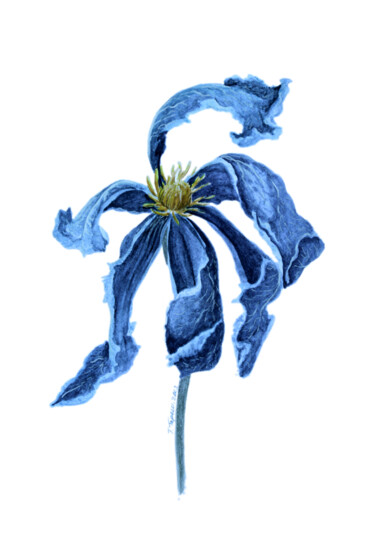 Painting titled ""A blue lily"" by Tetiana Teresh, Original Artwork, Watercolor