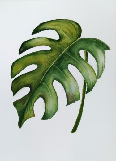 Malerei mit dem Titel "Monstera leaf" von Tetiana Vlasenko, Original-Kunstwerk, Aquarell