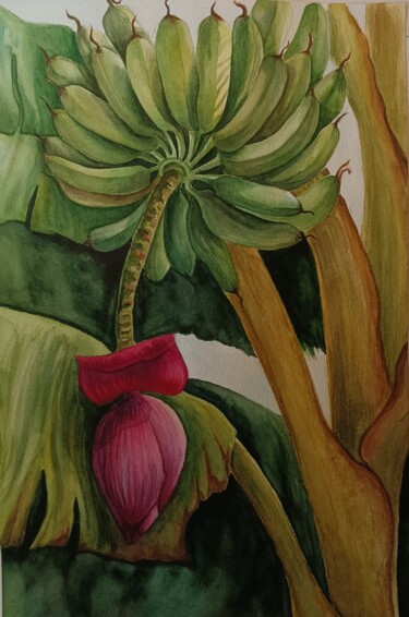 Ζωγραφική με τίτλο "Banana flower" από Tetiana Vlasenko, Αυθεντικά έργα τέχνης, Ακουαρέλα