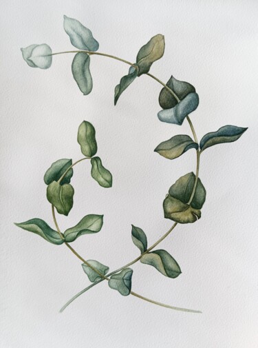Pittura intitolato "Eucalyptus twigs" da Tetiana Vlasenko, Opera d'arte originale, Acquarello