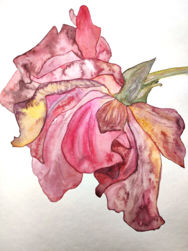 Pintura intitulada "Watercolor red rose…" por Tetyana Levchuk, Obras de arte originais, Aquarela