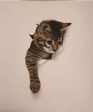 Картина под названием "3d-котик" - Татьяна Федорова (TFedorova21), Подлинное произведение искусства, Пастель