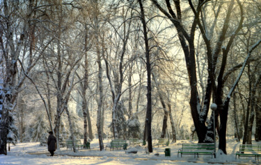 Fotografia intitolato "Winter in the park" da Tudor Gafton, Opera d'arte originale, fotografia a pellicola