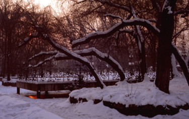 Fotografie mit dem Titel "Winter scene 1" von Tudor Gafton, Original-Kunstwerk, Analog Fotografie