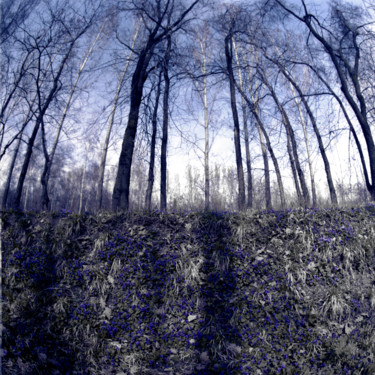 Fotografia intitolato "Blue Spring" da Tudor Gafton, Opera d'arte originale, fotografia a pellicola