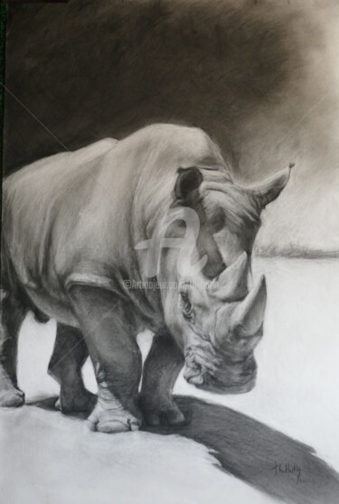 Dessin intitulée "Le Rhinocéros" par Th. Hutin, Œuvre d'art originale, Craie