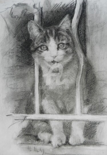 Drawing titled "chat  sur la fenêtre" by Th. Hutin, Original Artwork