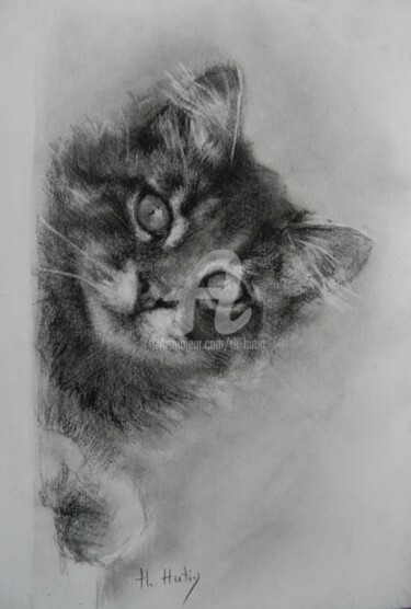 Dessin intitulée "chat clown" par Th. Hutin, Œuvre d'art originale, Craie