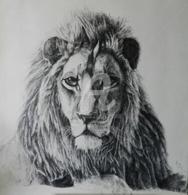Drawing titled "regard de lion" by Th. Hutin, Original Artwork, Ink