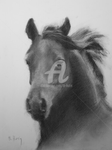 Drawing titled "cheval" by Th. Hutin, Original Artwork, Chalk