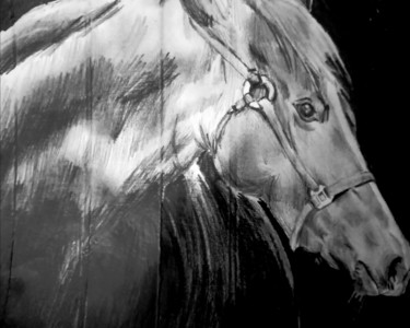 Horse pencil drawing Drawing titled "Horse pencil drawing" by Tharuja Nimana Dewasinghe Tharuja Dewasinghe, Original Art, Pencil