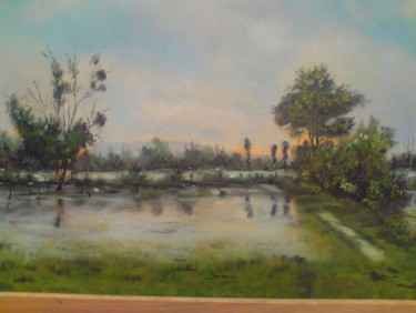 Painting titled "Inondations dans la…" by Cedric Thenot, Original Artwork