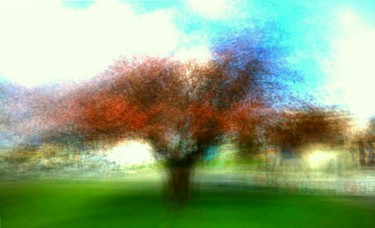 Photography titled "Lonely-Red-Tree.jpg" by Theodore Fedoruk, Original Artwork, Digital Photography