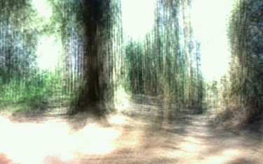 Photography titled "liquid-forest" by Theodore Fedoruk, Original Artwork