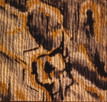 Peinture intitulée "écorce 2" par Frederic Therisod, Œuvre d'art originale