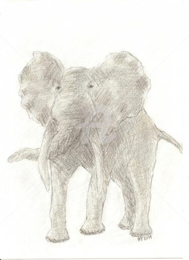 Dessin intitulée "éléphant" par Hélène Thevenon, Œuvre d'art originale