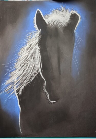 Dibujo titulada "Cheval" por Thibault Blandel, Obra de arte original, Lápiz