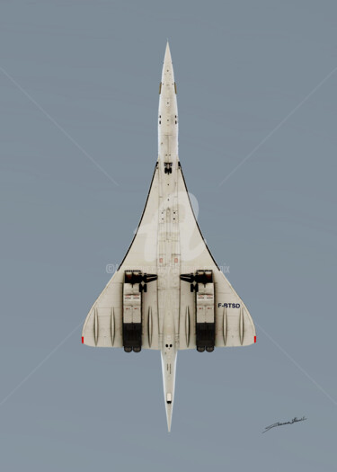 Digital Arts titled "Concorde anatomie" by Thibault Cernaix, Original Artwork, 3D Modeling
