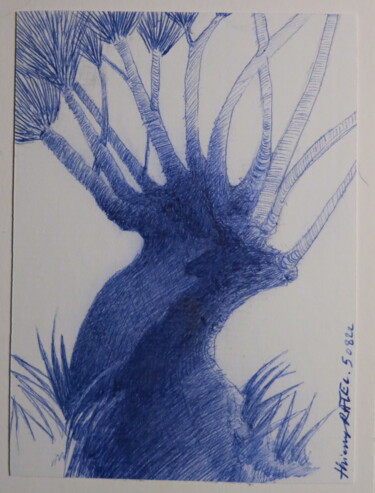 Zeichnungen mit dem Titel "le saule" von Thierry Carol Ratel, Original-Kunstwerk, Kugelschreiber