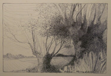Drawing titled "Les saules" by Thierry Carol Ratel, Original Artwork, Ballpoint pen