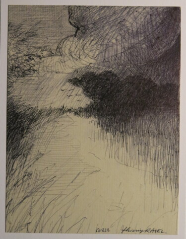 Drawing titled "Etang" by Thierry Carol Ratel, Original Artwork, Ballpoint pen