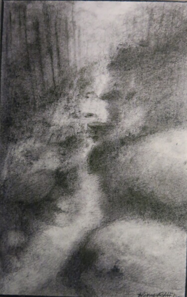 Drawing titled "ruisseau" by Thierry Carol Ratel, Original Artwork, Graphite