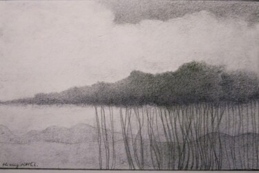 Drawing titled "etang brenne" by Thierry Carol Ratel, Original Artwork, Graphite