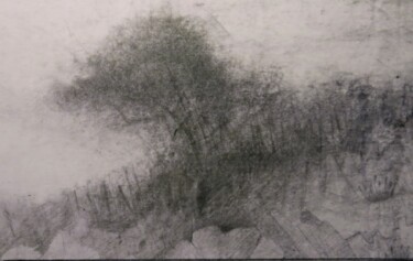 Drawing titled "Haie" by Thierry Carol Ratel, Original Artwork, Pencil