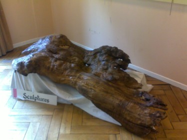 Sculpture titled "nu étendu" by Thierry Girou, Original Artwork, Wood