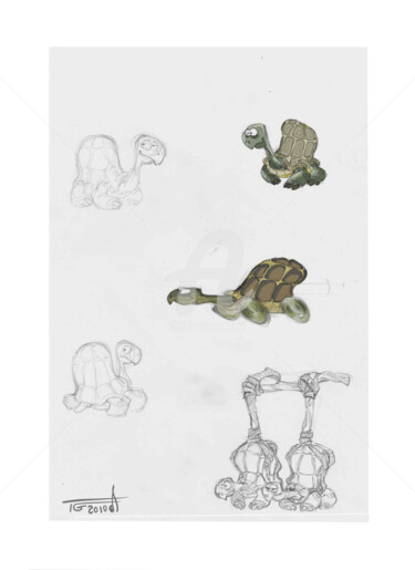 Dessin intitulée "tortues-colo" par Thierry Goulard, Œuvre d'art originale, Photographie numérique