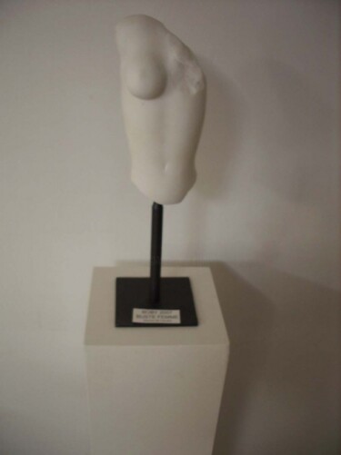 Sculpture intitulée "BUSTE FEMME" par Thierry Herbreteau, Œuvre d'art originale, Pierre