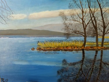 绘画 标题为“Le lac de Tina” 由John Des Îles, 原创艺术品, 油