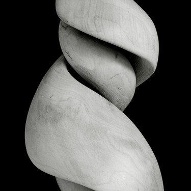 「METISSE 1 - MOVEMEN…」というタイトルの写真撮影 Thierry Ledéによって, オリジナルのアートワーク, 操作されていない写真
