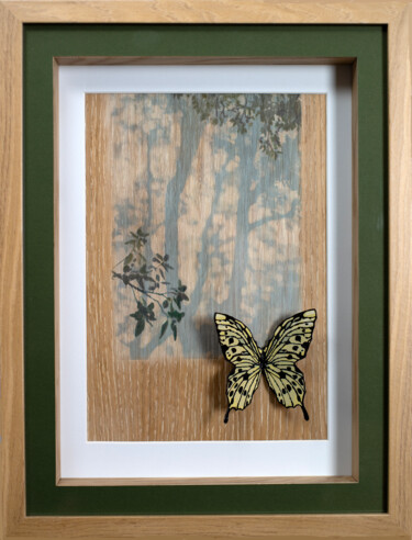 "Collection Papillon…" başlıklı Heykel Thierry Legrand (ziiart) tarafından, Orijinal sanat, Mürekkep Karton üzerine monte ed…
