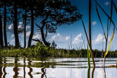 Photographie intitulée "Vue d'une grenouille" par Thierry Magliulo (Th.Mag), Œuvre d'art originale