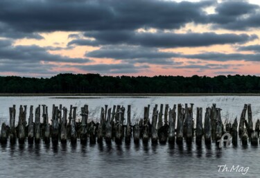 Photography titled "Perchoir à cormorans" by Thierry Magliulo (Th.Mag), Original Artwork