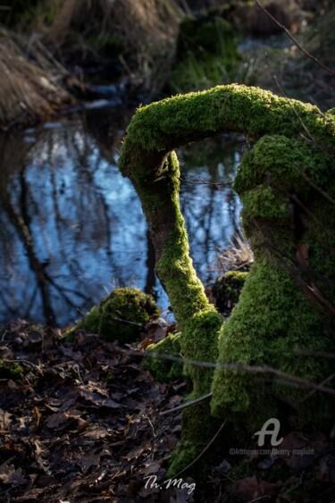 Photography titled "Marais-en-zone-natu…" by Thierry Magliulo (Th.Mag), Original Artwork