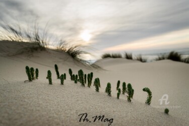 Photographie intitulée "Têtes hors du sable" par Thierry Magliulo (Th.Mag), Œuvre d'art originale, Photographie numérique