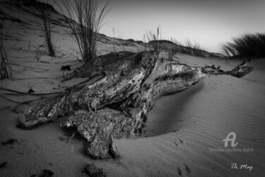 Fotografía titulada "Matière et son curi…" por Thierry Magliulo (Th.Mag), Obra de arte original, Fotografía digital