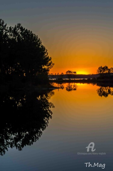 Photography titled "Silhouette d'arbre.…" by Thierry Magliulo (Th.Mag), Original Artwork