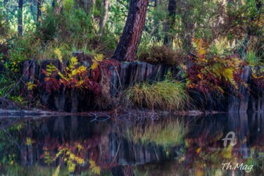 Photographie intitulée "Couleurs d'automne…" par Thierry Magliulo (Th.Mag), Œuvre d'art originale