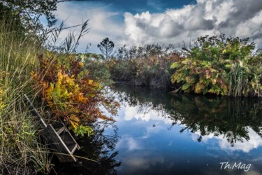 Fotografia zatytułowany „Les marais” autorstwa Thierry Magliulo (Th.Mag), Oryginalna praca