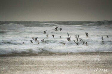 Photography titled "Le temps d'un passa…" by Thierry Magliulo (Th.Mag), Original Artwork