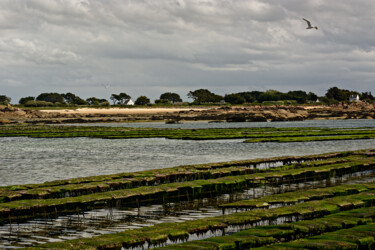 Photography titled "Carantec, Callot, l…" by Thierry Martin, Original Artwork, Digital Photography