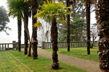 Photographie intitulée "Carantec, le parc C…" par Thierry Martin, Œuvre d'art originale, Photographie numérique