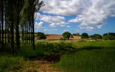Fotografie mit dem Titel "Carantec, terres ag…" von Thierry Martin, Original-Kunstwerk, Digitale Fotografie